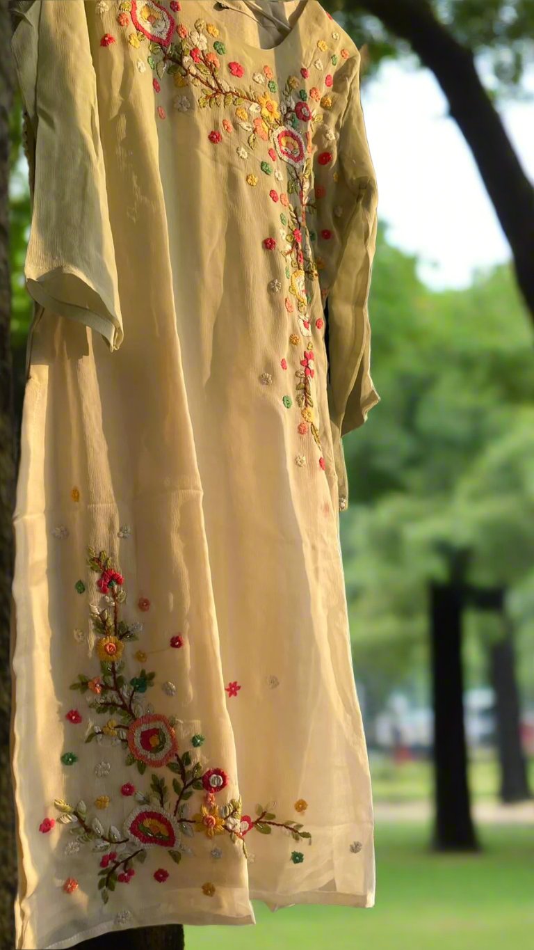 Elegant Chiffon Handwork Thread Embroidery Suit Set - Pastel Charm